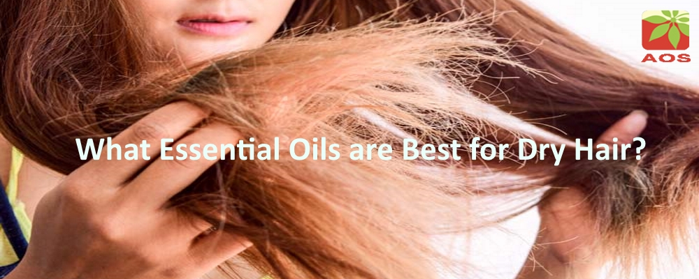 Oils for Dry Hair