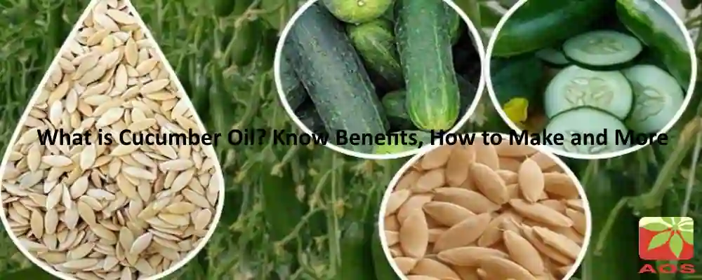 All About Cucumber Oil