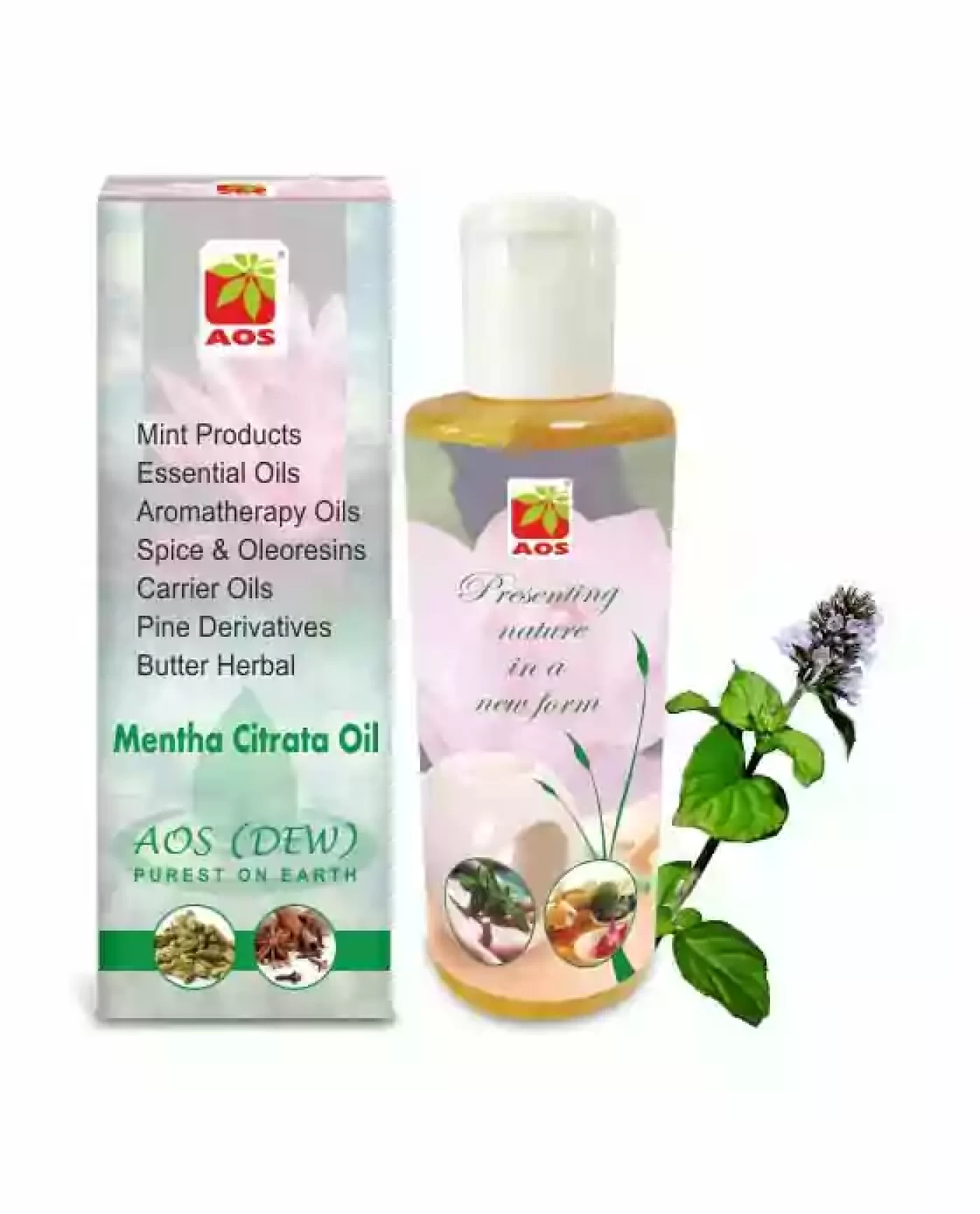 Mentha Citrata Oil