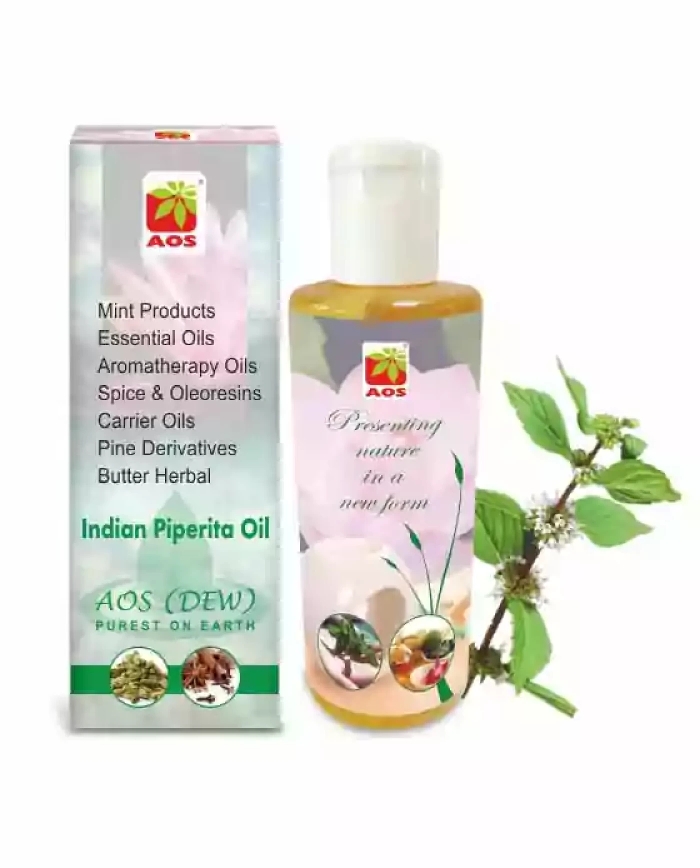Indian Piperita Oil