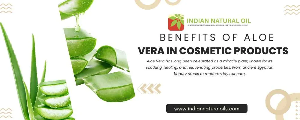 Benefits of Aloe Vera in Cosmetic Products