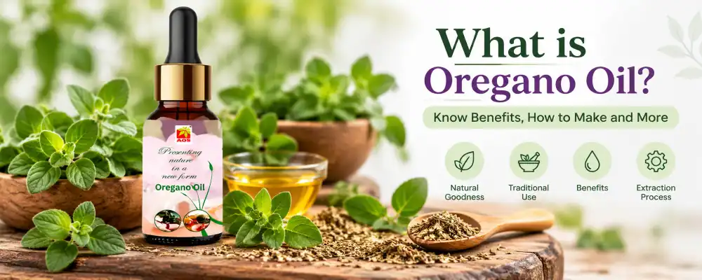 All About Oregano Oil