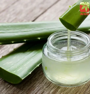 Aloe Vera Products