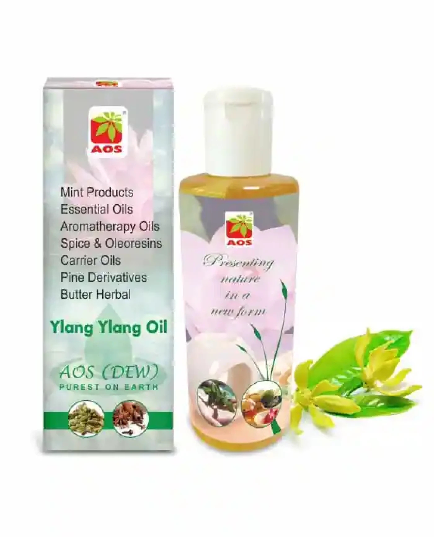 Ylang Ylang Oil